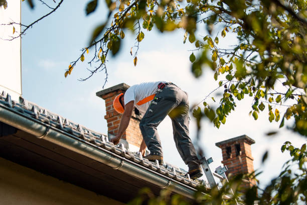 Quick and Trustworthy Emergency Roof Repair Services in East Sonora, CA