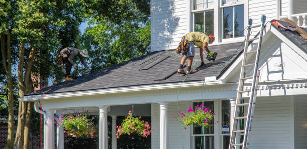 Best Roof Gutter Cleaning  in East Sonora, CA